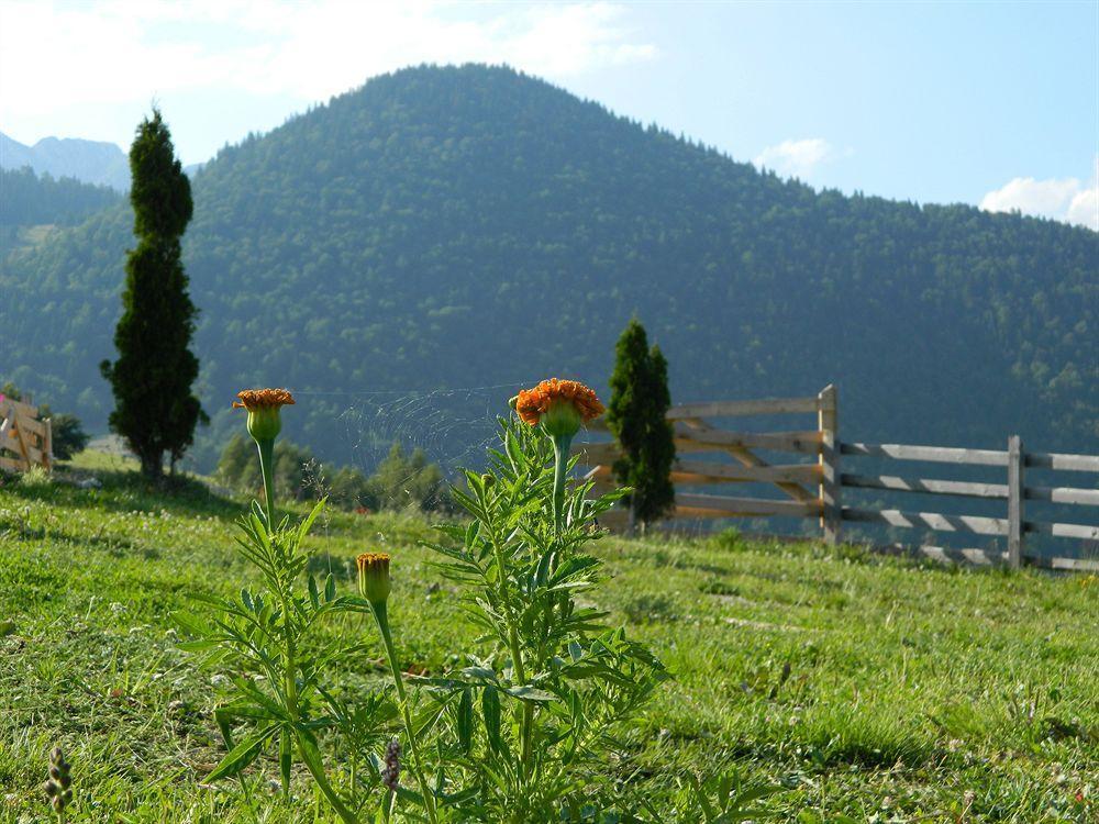 Nobillis - Carpathian Residence Peştera Kültér fotó