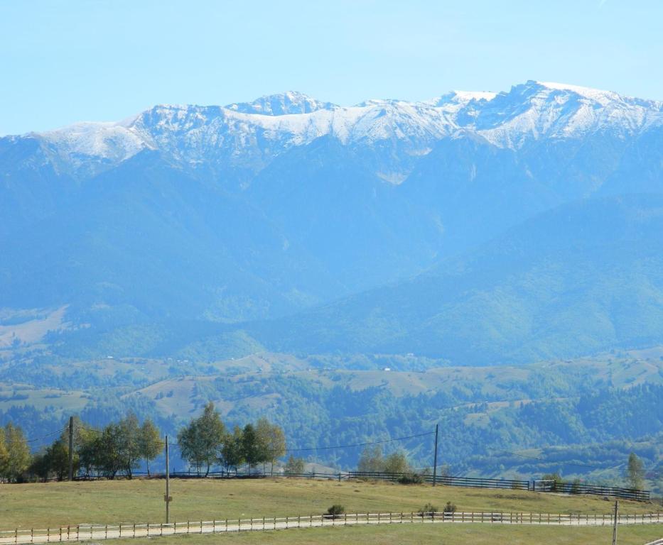 Nobillis - Carpathian Residence Peştera Kültér fotó
